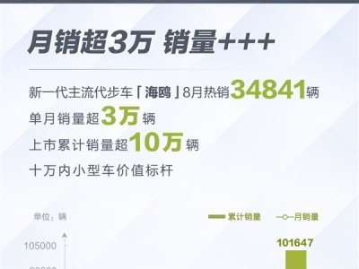 比亚迪电动车型海鸥8月销量首次破3万，创下新纪录