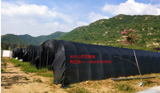 华远陆港多式联运公司赴爱博绿深圳总部洽谈战略合作