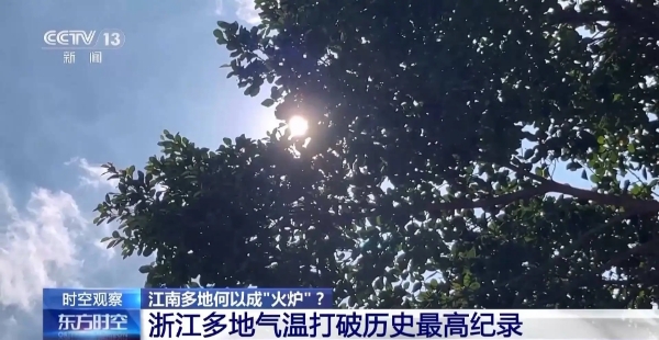 微信截图_20240805162516.png
